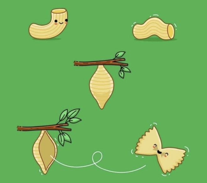 Раскрыта тайна появления макарон