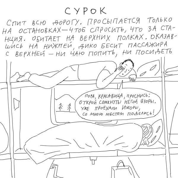 Люди, которых можно встретить в поезде
