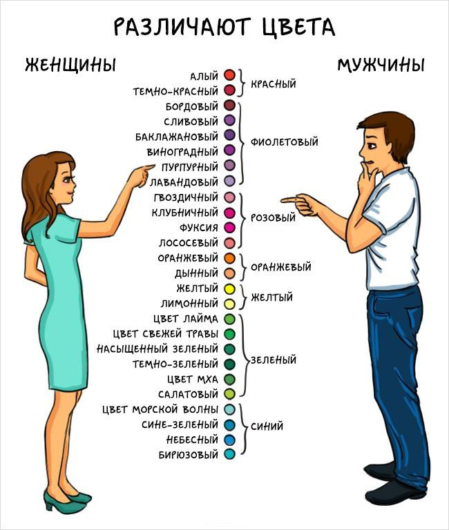 Разница между мужчинами и женщинами