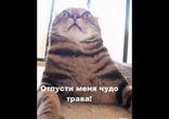Станции метроooo......