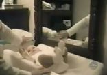 Видео про смену пелёнок)))