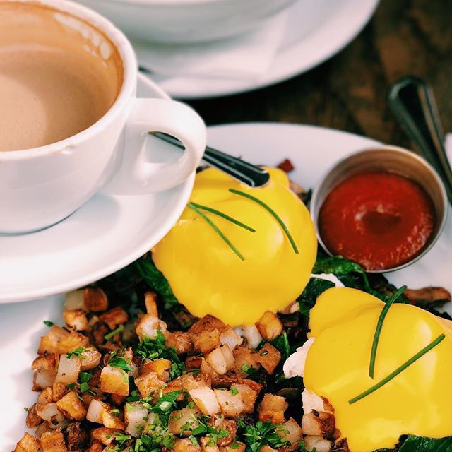 Анна Седокова