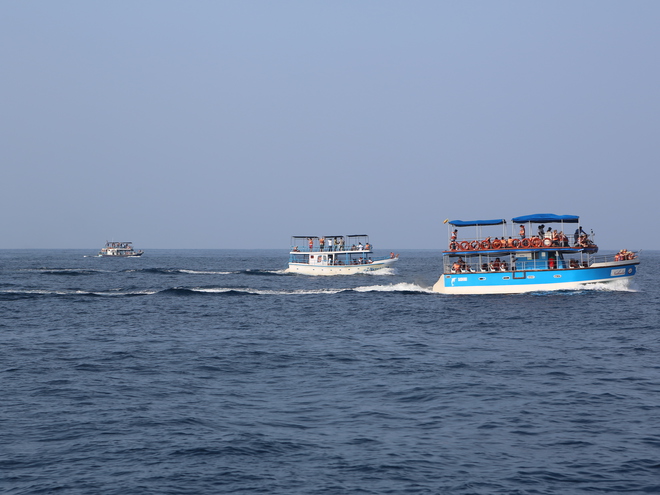 Дмитрий Каднай о Шри-Ланке: все, что вы не прочитаете в путеводителе об острове