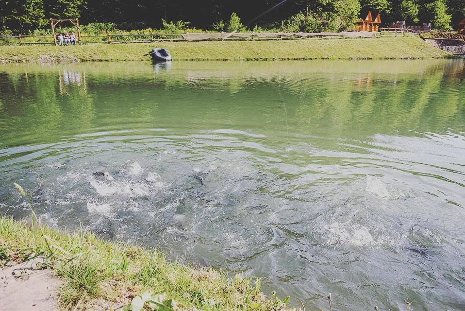 Эко-база "Опака"