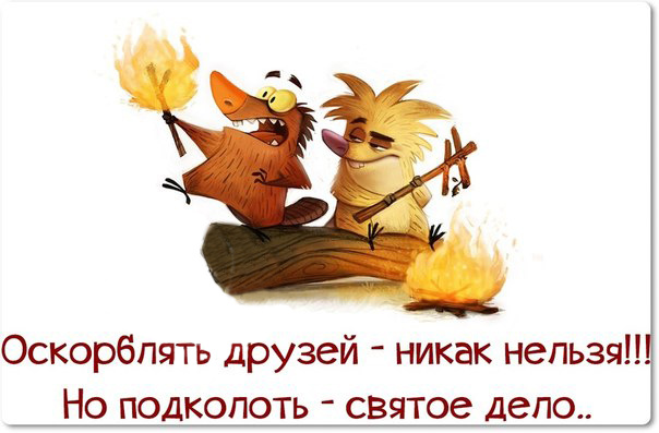 Смешные картинки с текстом