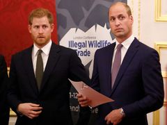 Принц Гаррі та принц Вільям