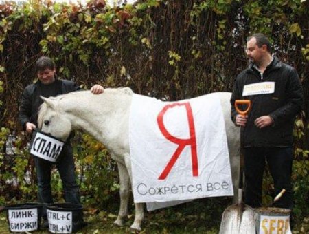 С Днем Админа!