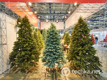 Виставка ялинок