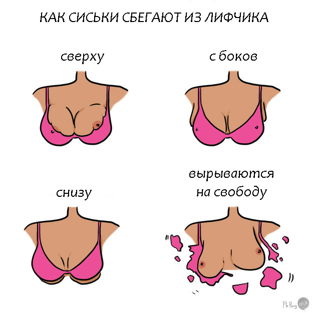 Вся правда про сиськи