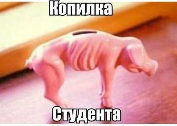 Чудо копилка для студентов