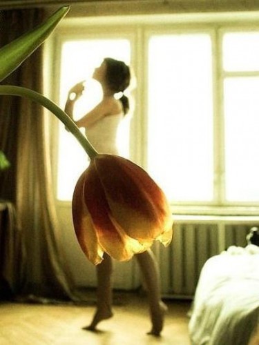 Интересные ракурсы