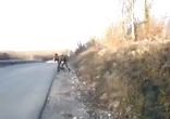 Скотыпнулись
