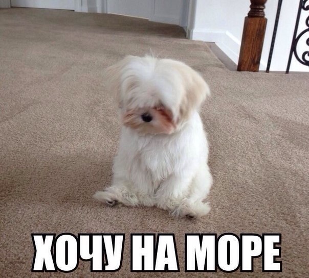 Открытки не хочу больше работать хочу на море