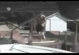 приколы на воде