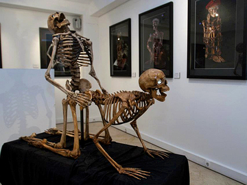 Музей эротики в Париже