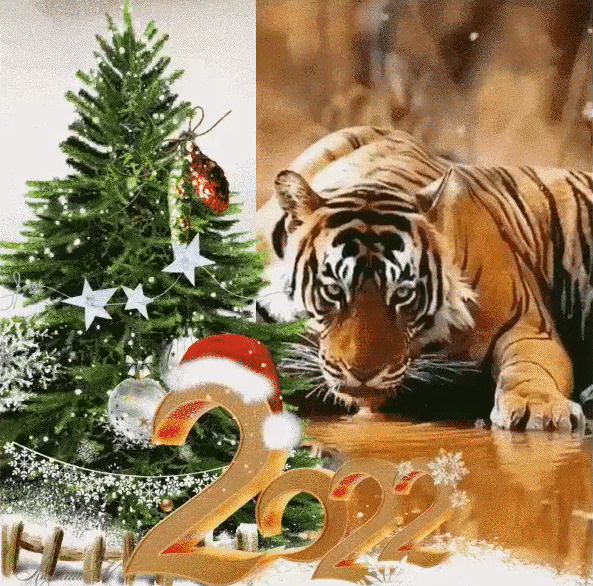 Милые открытки на Новый год тигра 2022