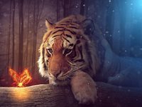 Симпатичные обои с тигром