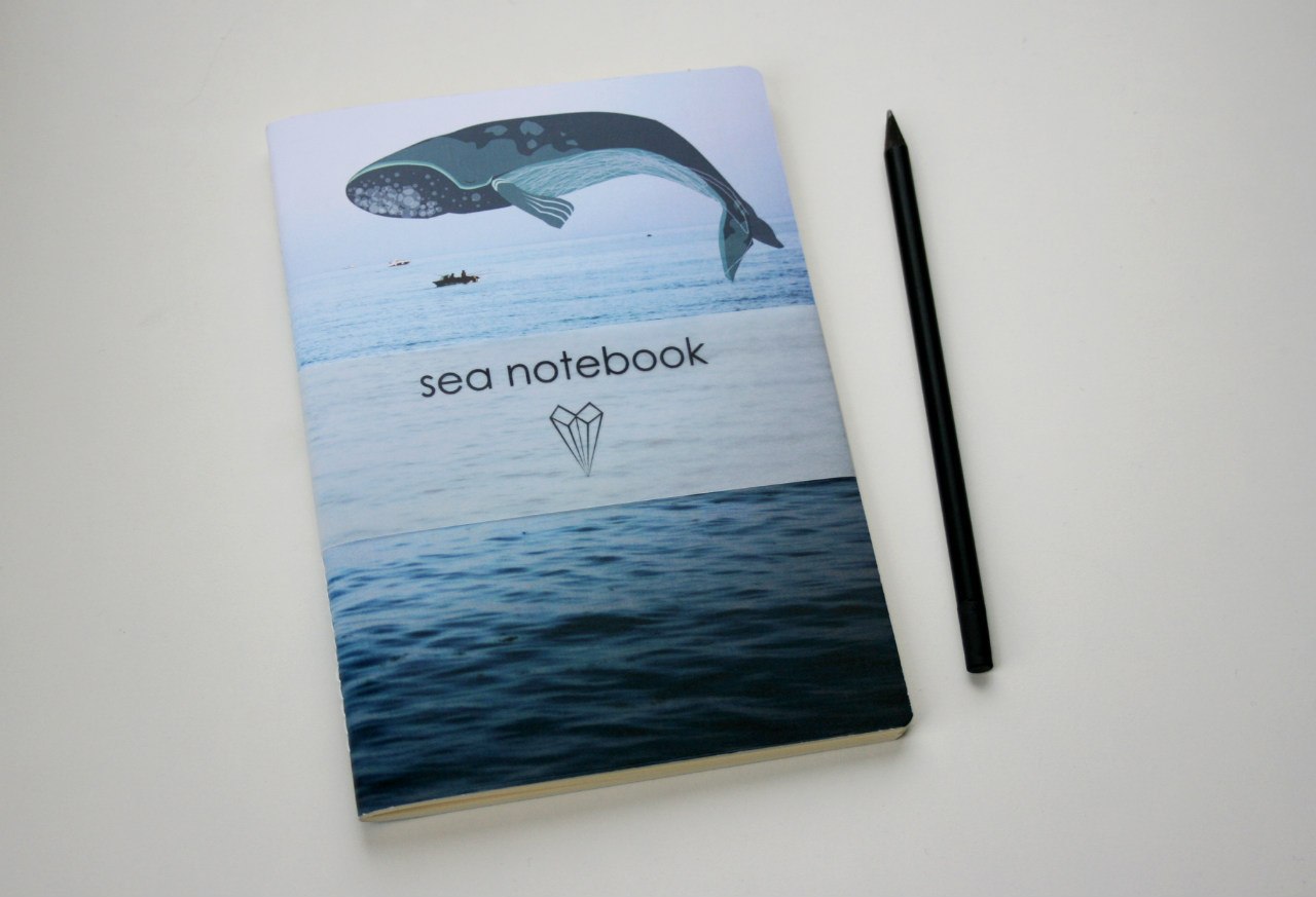 Seanotebooks