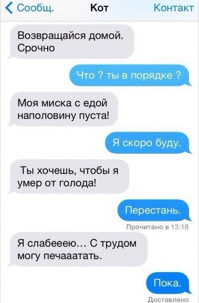 Если бы коты писали смс...