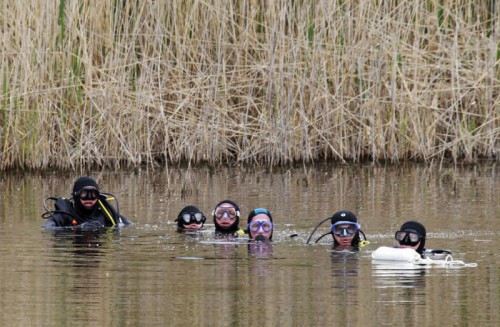 Подборка смешных фотоприколов