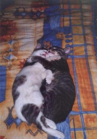 Смишнючие=)
