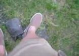 Озабоченная черепаха