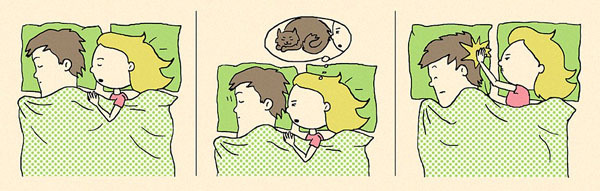 Пара - Нормальные явления