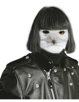 fashion animals fashion animals