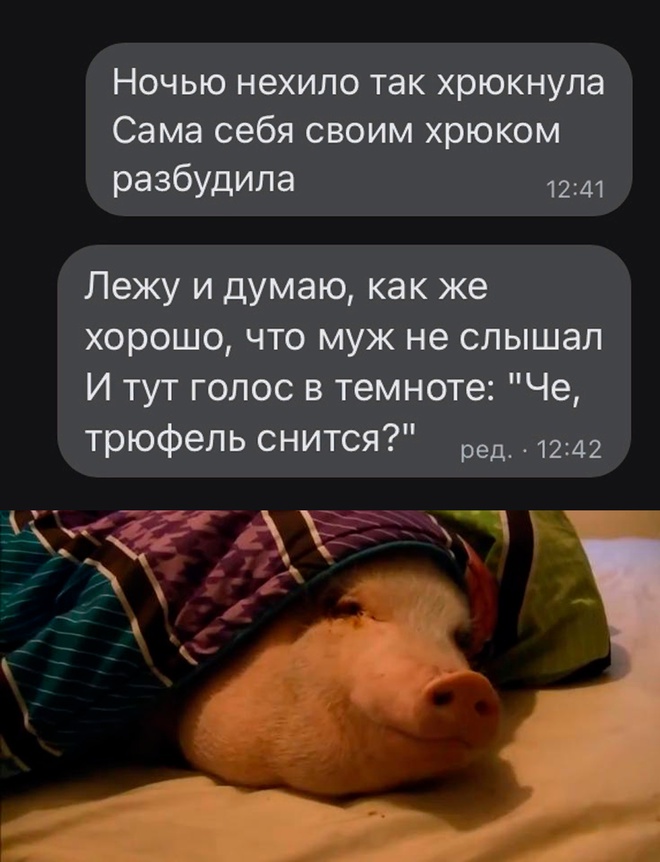 Жена и хрюканье