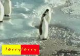 Пингвин - подножник)