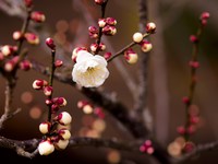 Весна на улице