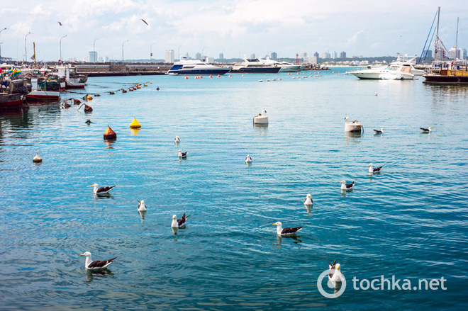 Країна, де все навпаки: Уругвай