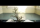 The Killers Ft. Dawes - Christmas In L.A