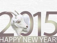 С новым 2015 годом козы