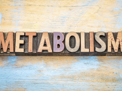 продукти харчування