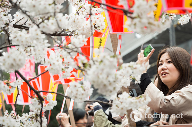 Саме весняне свято: О-ханами в Японії