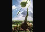 Джон Уиндем  - День триффидов часть 1  [Фантастика. Вадим Максимов]