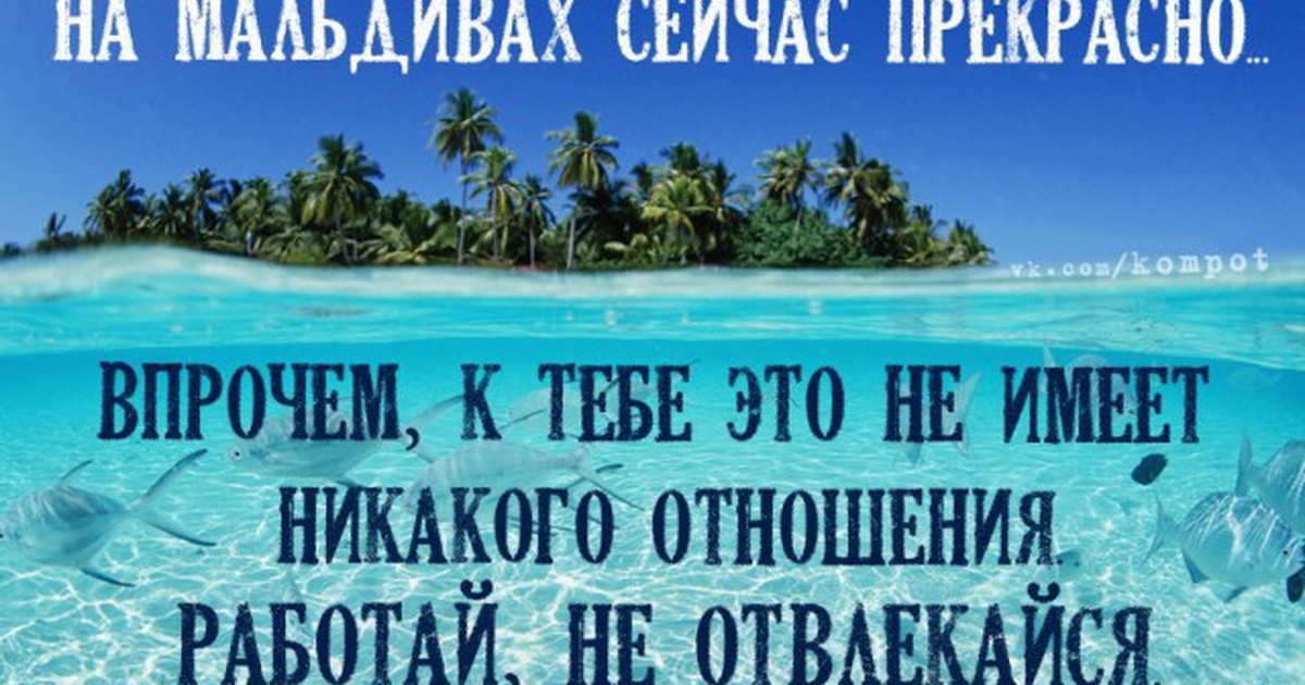 Много не работай береги себя картинки прикольные