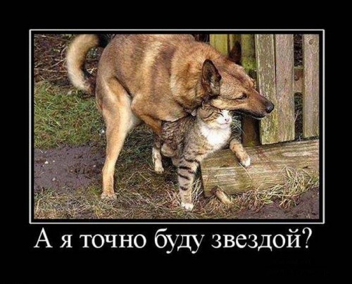 Демотиваторы. Свежак!