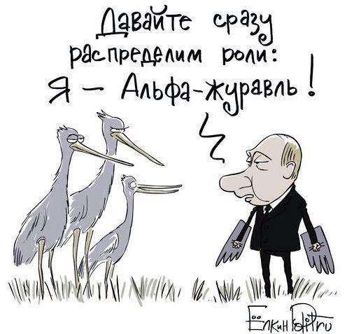 Путин и журавли фото