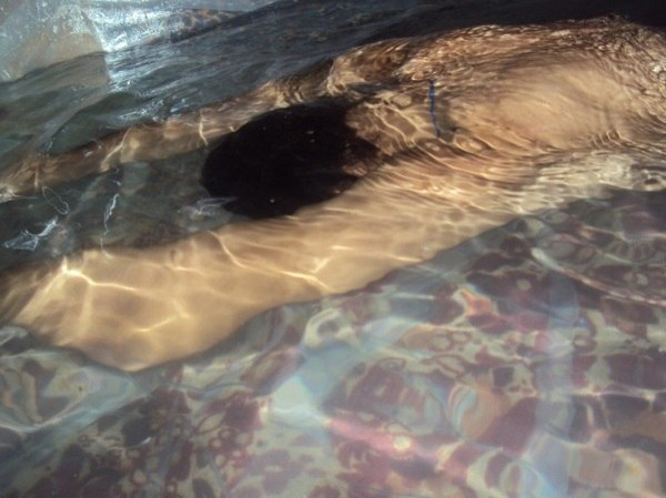 Когда нету денег на море...