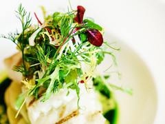 Рецепти весняних салатів