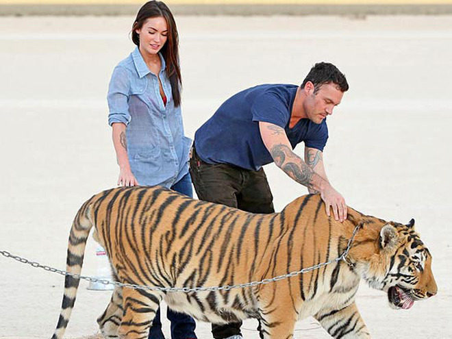 Меган Фокс, Брайан Остин Грин