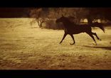 Yandel - Hasta Abajo
