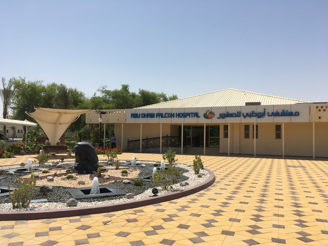Соколиный госпиталь в Абу Даби