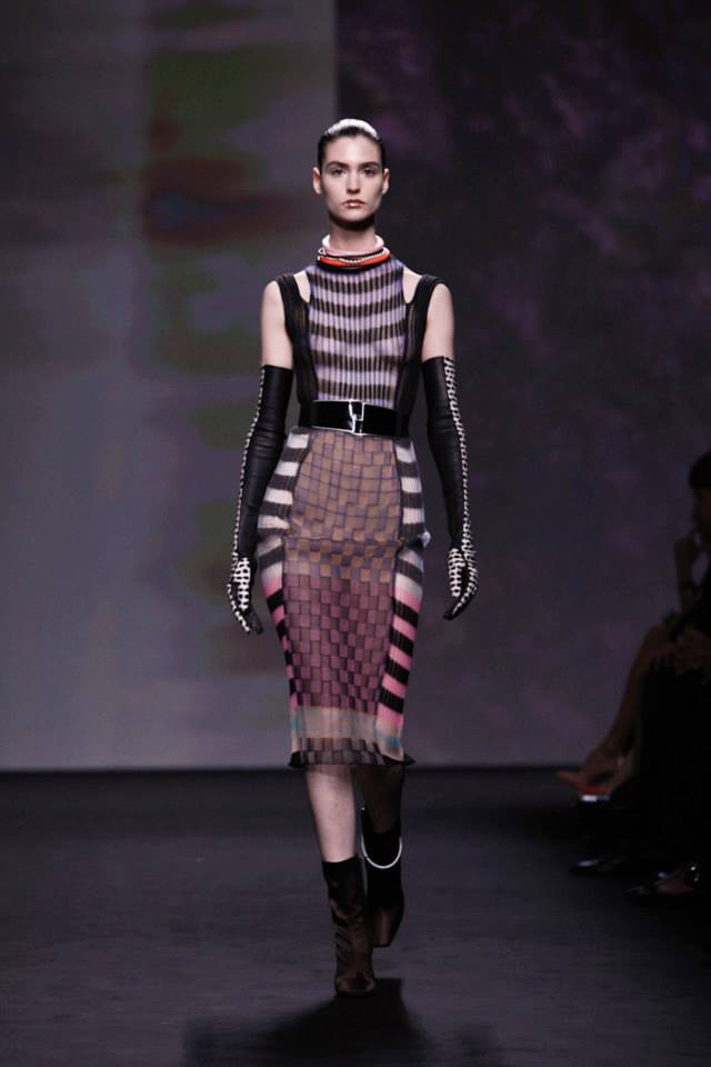 Dior Haute Coture Fall-Winter 2013-2014