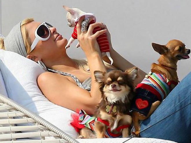 Пэрис Хилтон