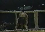 Лучшие нокауты Вовчанчина