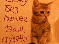 Котейная открытка с Днем студента