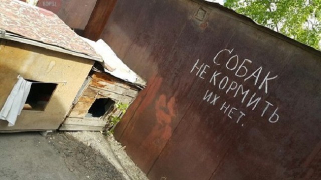 Такое возможно только в России